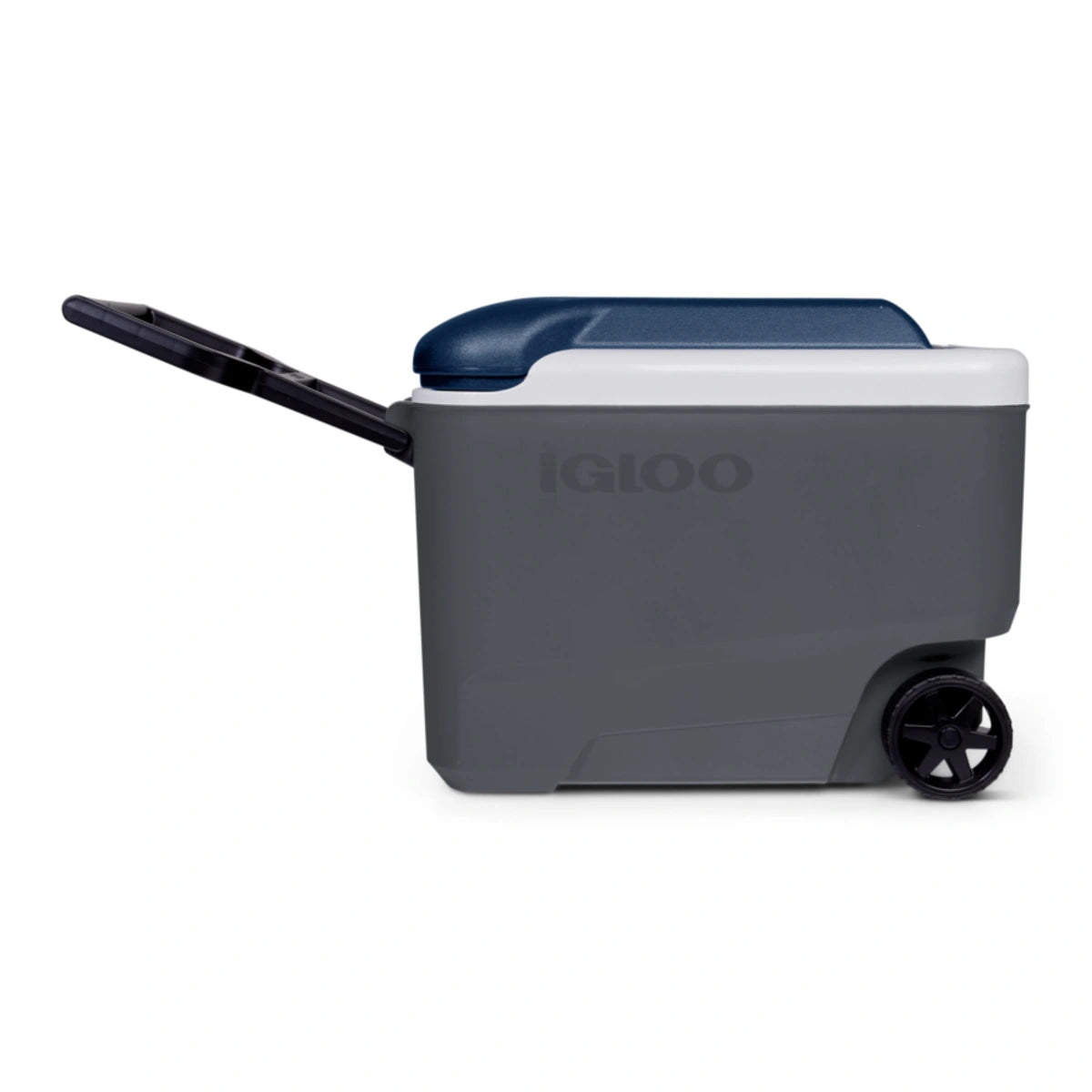 Gray and blue Igloo cooler box with wheels on a white background