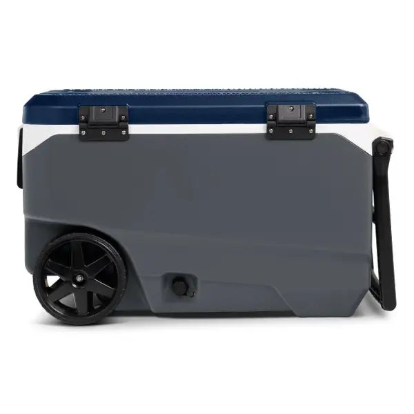 Gray Igloo cooler with a blue lid on a white background