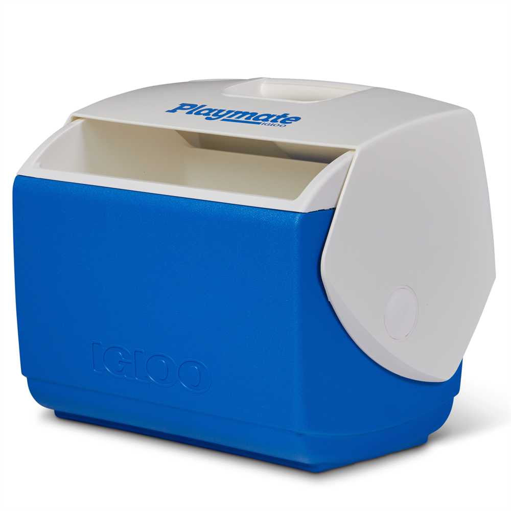 Blue and white cooler with 'Playmate IGLOO' branding on a white background