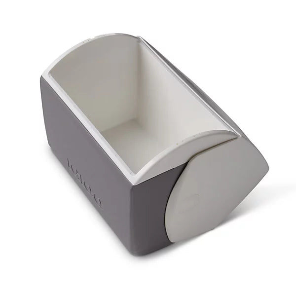 Gray and white cooler with 'IGLOO' branding on a white background