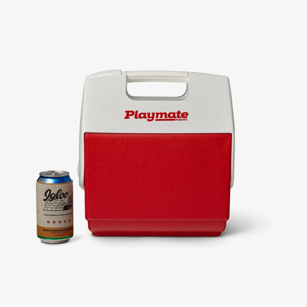Red IGLOO cooler with 'Playmate' branding next to a can on a white background